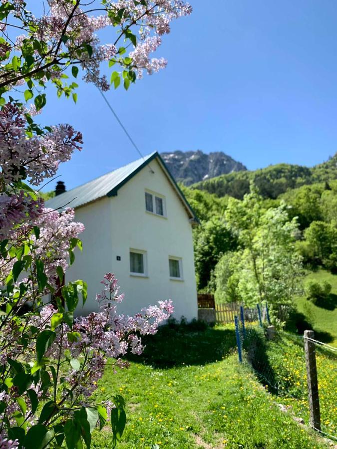 Villa Maglic Plužine Exterior foto