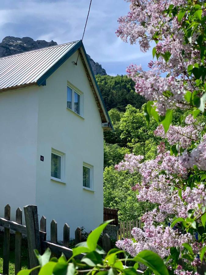 Villa Maglic Plužine Exterior foto